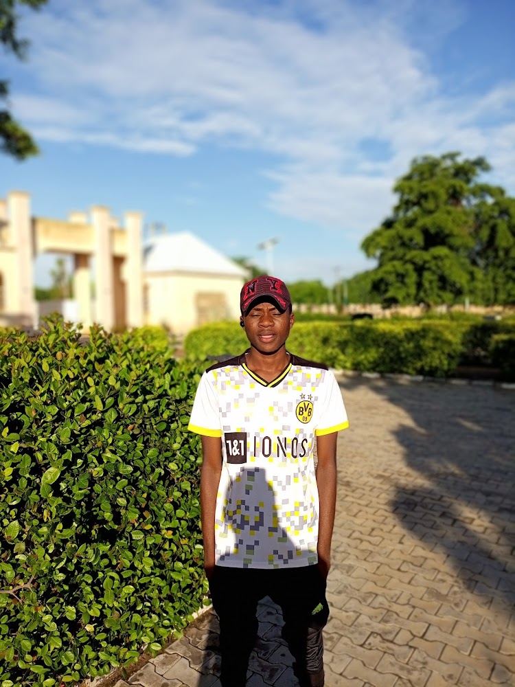 Yobe State Art And Culture photo 2